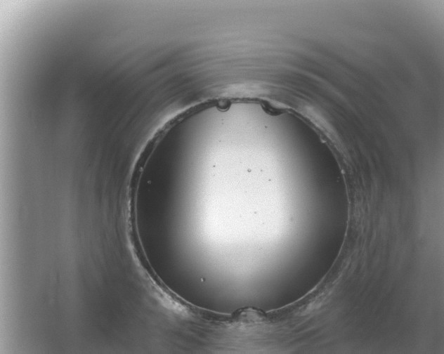 X0000067490992200604150037