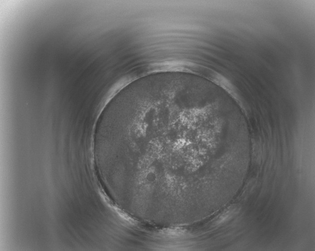 X0000067490994200604150037