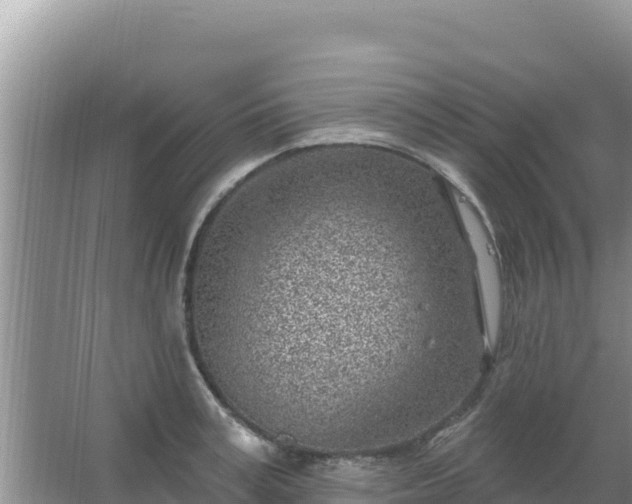 X0000067490995200604150037