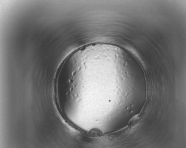 X0000067490999200604150037