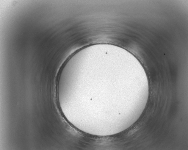 X0000067491000200604150037