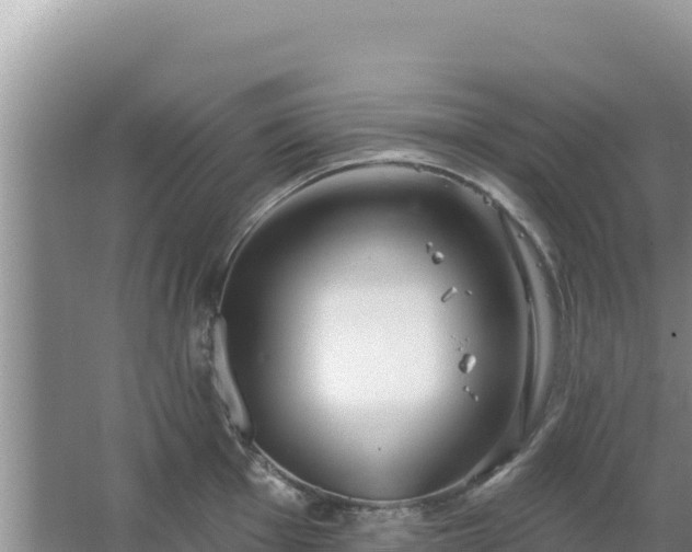 X0000067491001200604150037