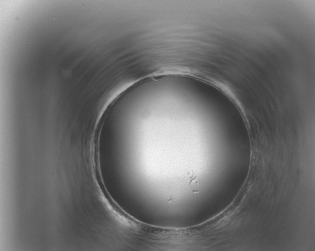 X0000067491003200604150037