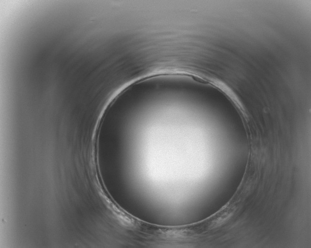 X0000067491004200604150037