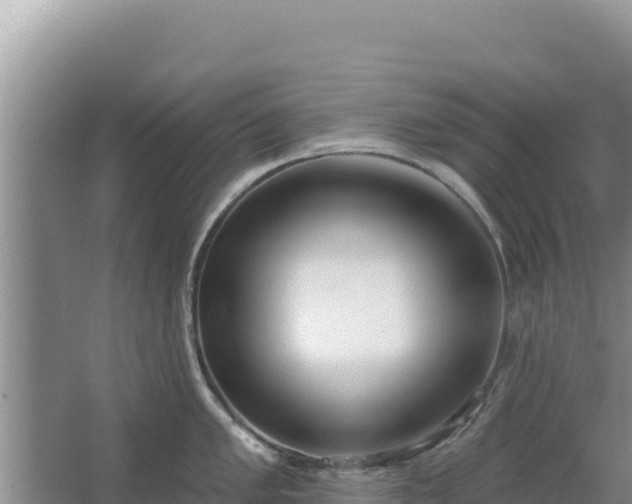 X0000067491005200604150037