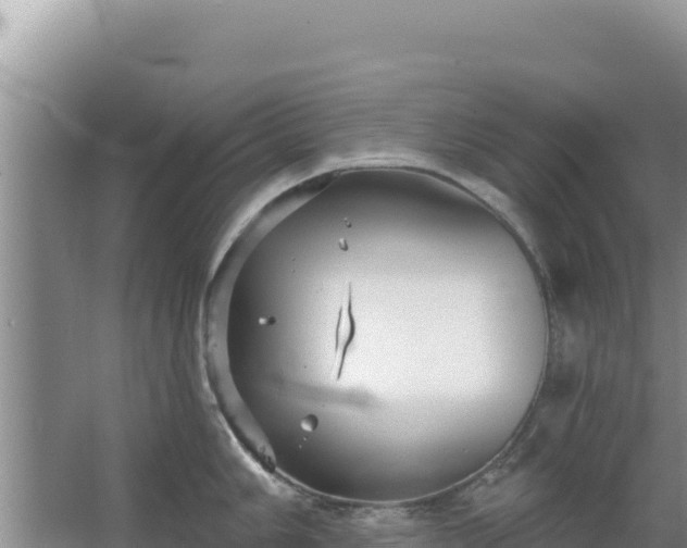 X0000067491006200604150037