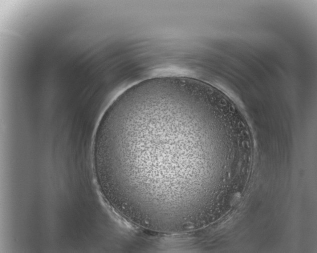 X0000067491008200604150037