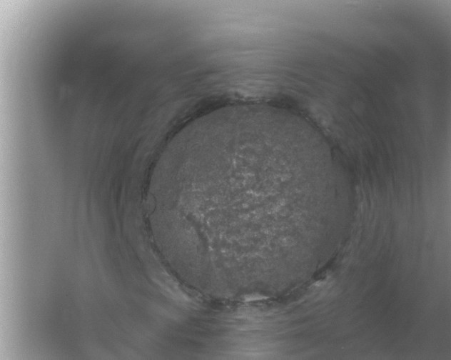 X0000067491009200604150036