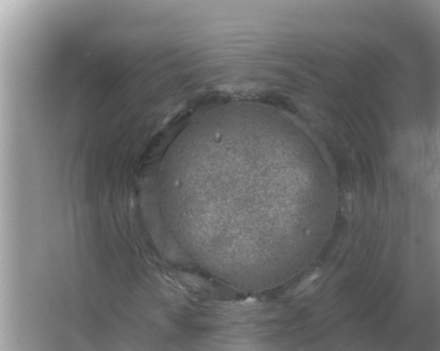 X0000067491010200604150036