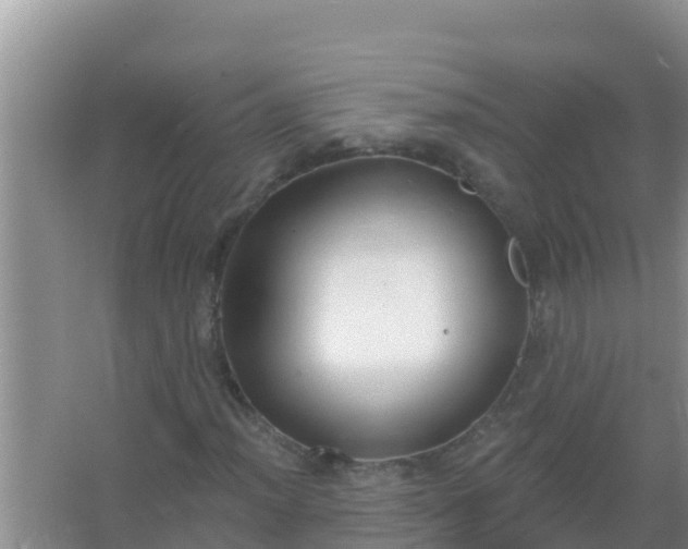 X0000067491012200604150036