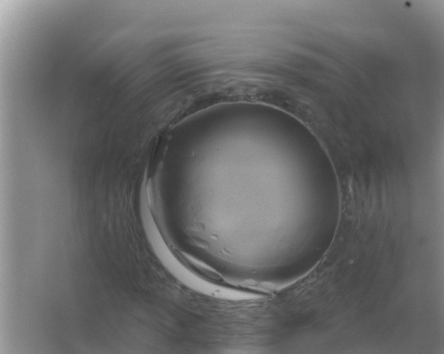 X0000067491013200604150036