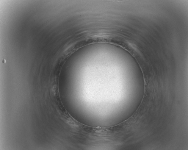 X0000067491015200604150036