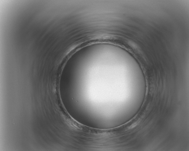 X0000067491017200604150036