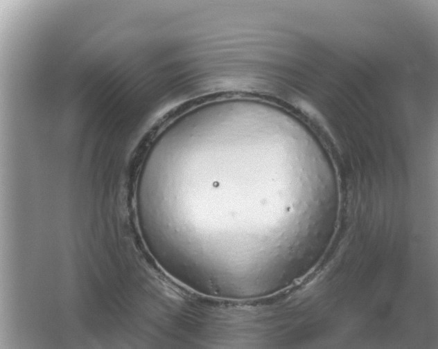 X0000067491019200604150036