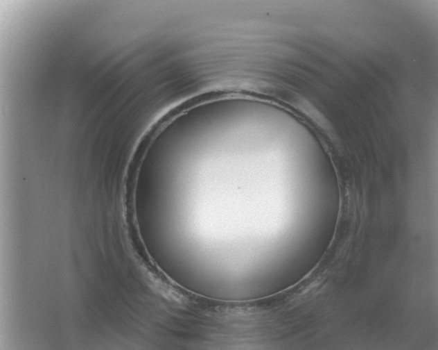 X0000067491020200604150036