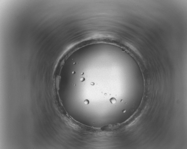 X0000067491021200604150036