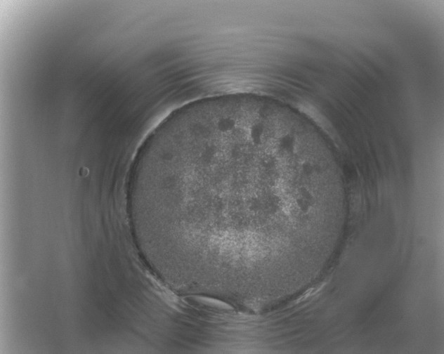 X0000067491023200604150036