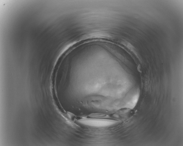 X0000067491024200604150036