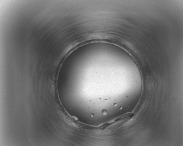 X0000067491025200604150036