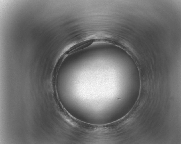 X0000067491026200604150036