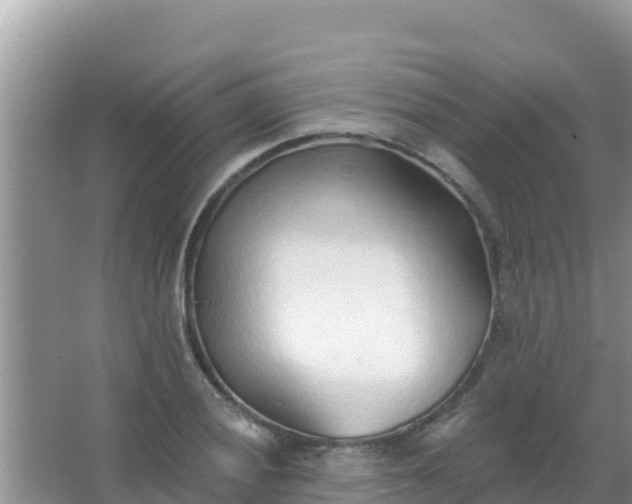 X0000067491028200604150036