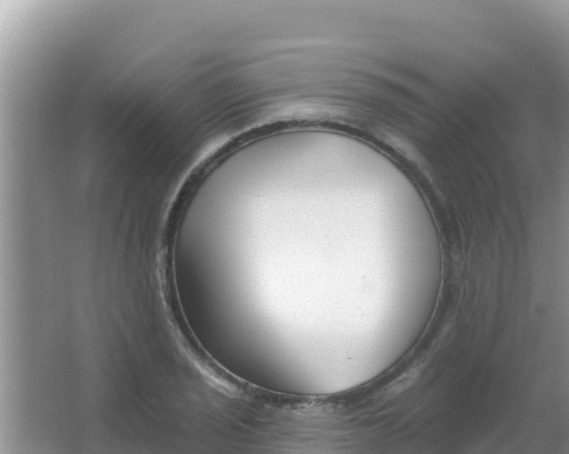 X0000067491029200604150036