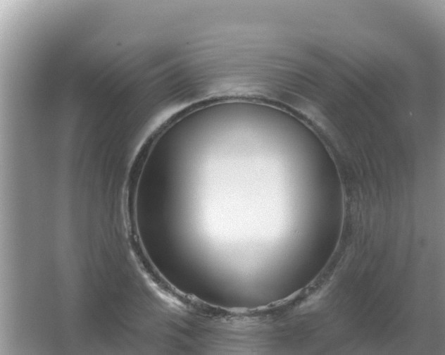 X0000067491030200604150036