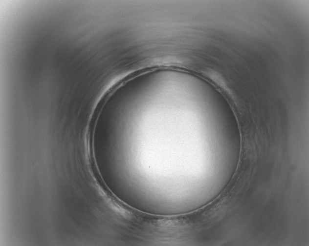 X0000067491032200604150036