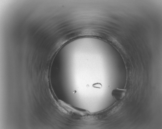 X0000067491033200604150036