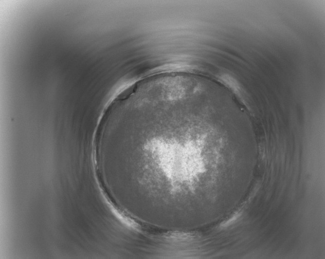 X0000067491034200604150036