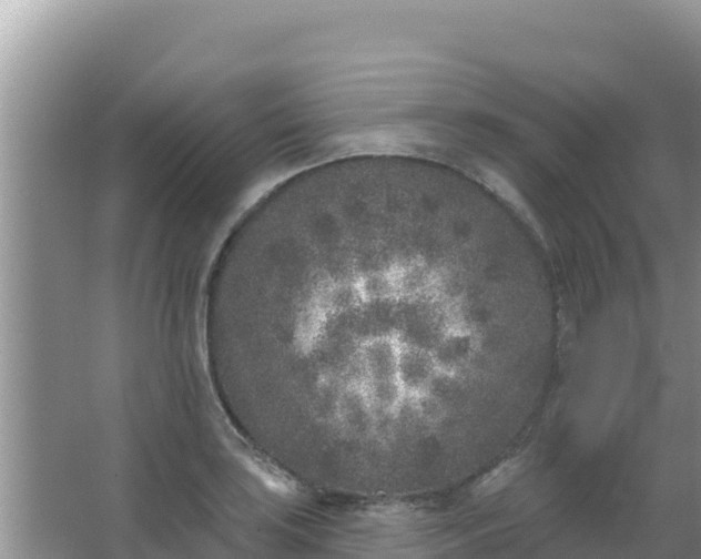 X0000067491035200604150036