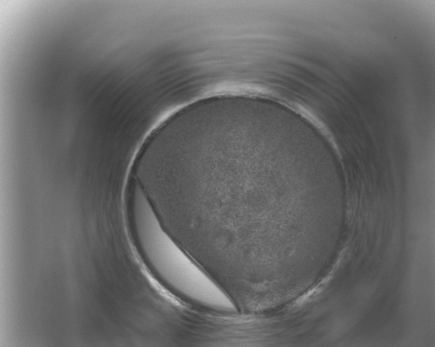 X0000067491037200604150036