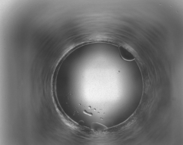 X0000067491039200604150037