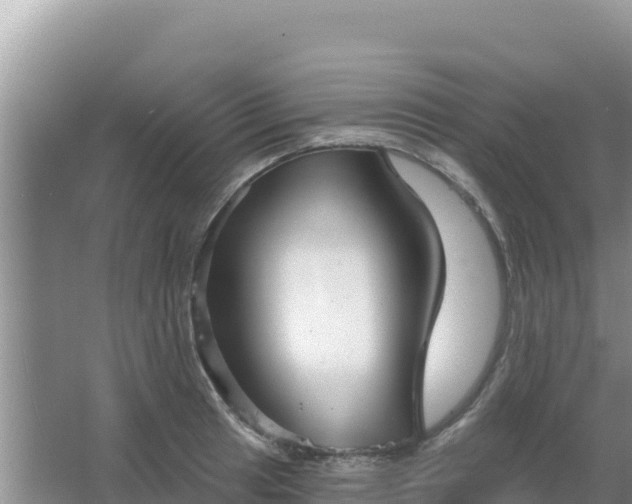 X0000067491041200604150037