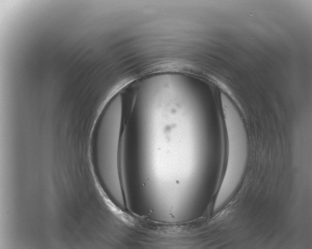 X0000067491042200604150037