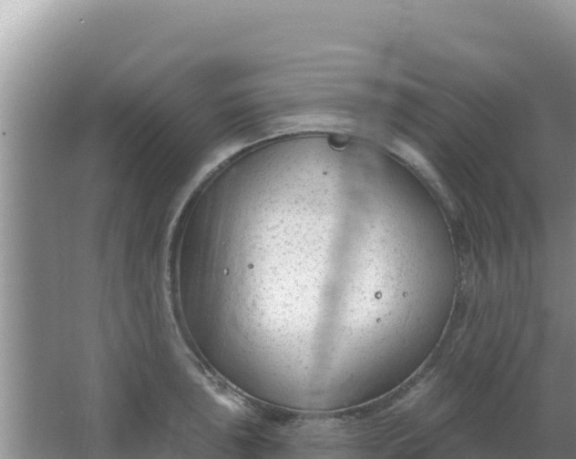 X0000067491043200604150037