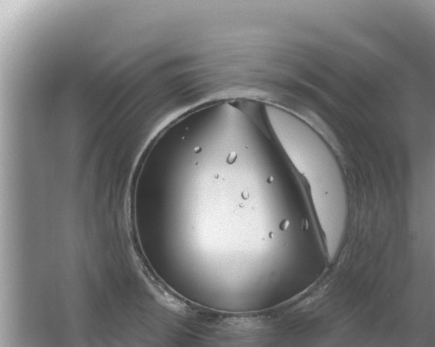 X0000067491044200604150037