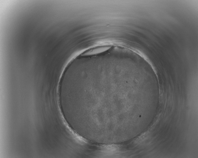 X0000067491045200604150037