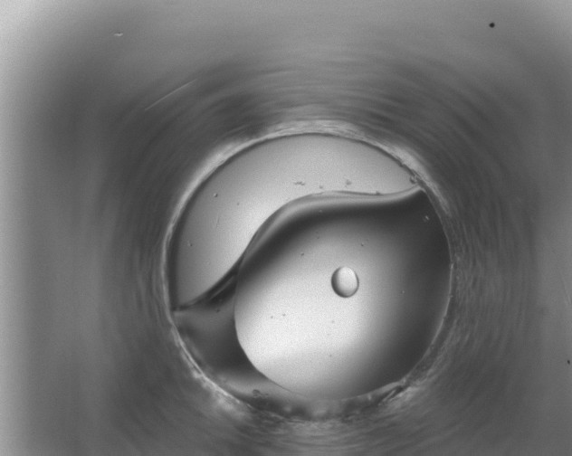 X0000067491046200604150037