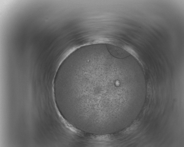 X0000067491047200604150037