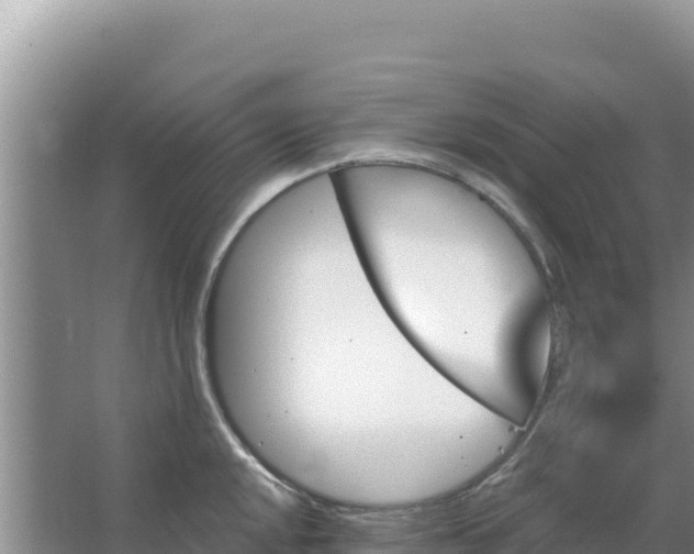 X0000067491048200604150037