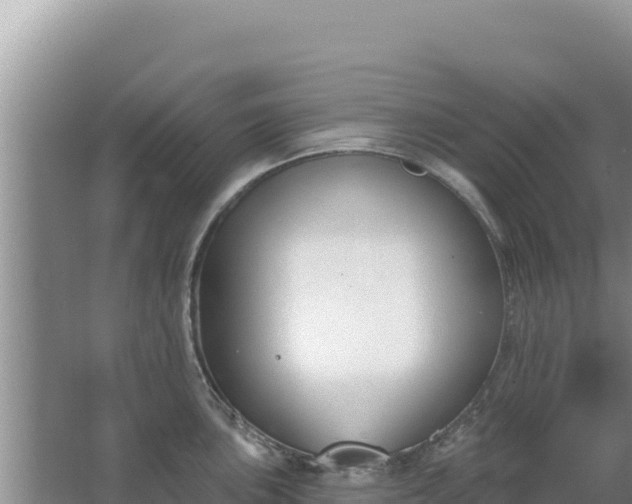 X0000067491051200604150037