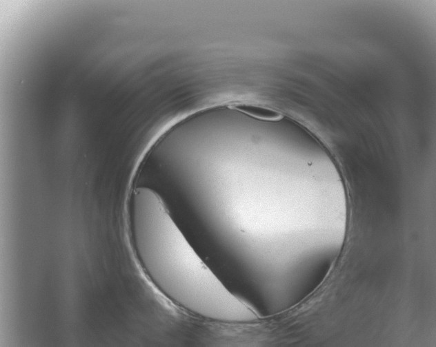 X0000067491056200604150037