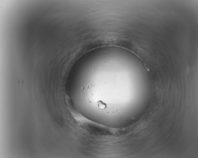 X0000067491057200604150036