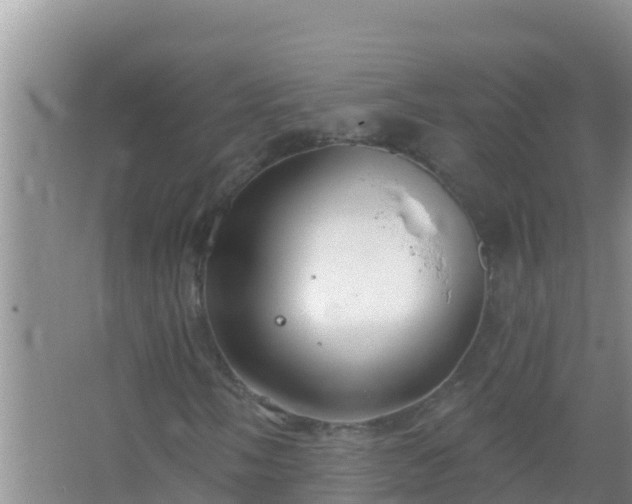 X0000067491058200604150036