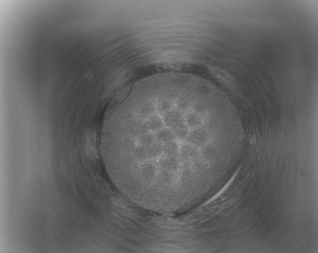 X0000067491060200604150036