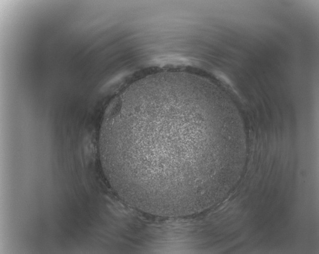 X0000067491063200604150036