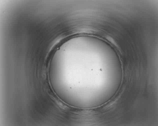 X0000067491067200604150036