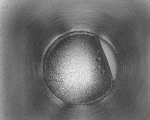 X0000067491068200604150036