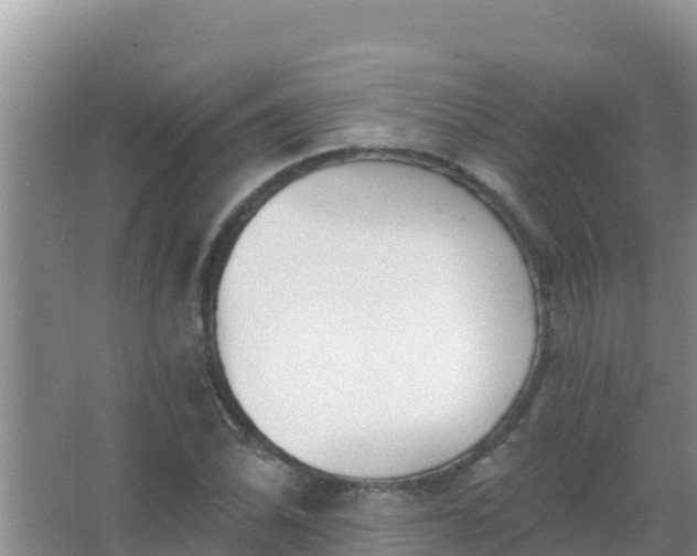 X0000067491070200604150036